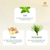 Maharishi Tulsi Green Tea Lemon Ginger Ayurvedic Stress Relief & Immunity 20 Tea Bag